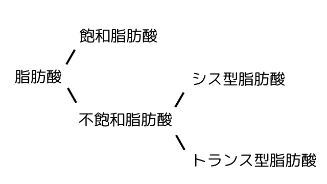 脂肪酸の種類