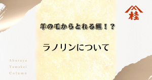 羊の毛からとれる蝋!?ラノリンについて